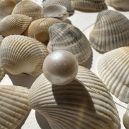 Natural pearl pendant